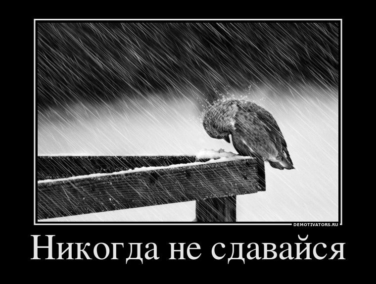 Дмитрий Шарипов | Екатеринбург