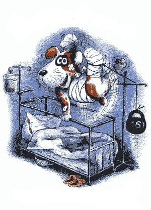 Михаил Саньков | Новосибирск