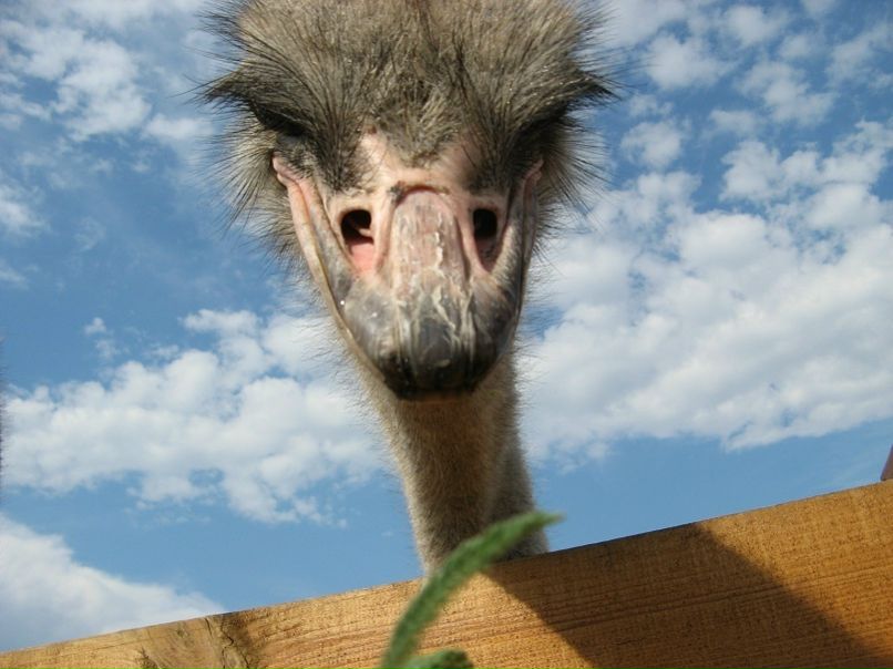 №42, Настя Цыганок, Киев №42, Настя Цыганок, Киев