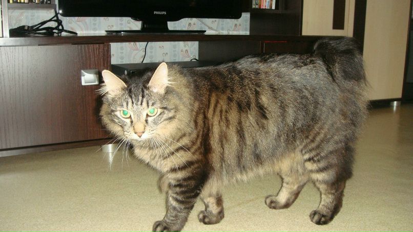 Айгуль Гилязева | Набережные Челны