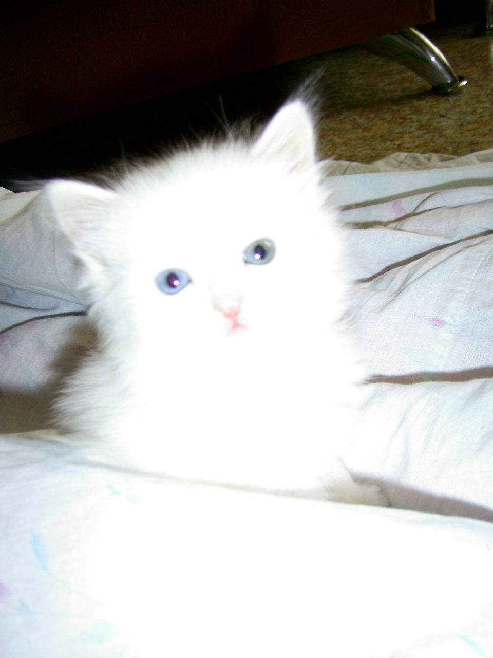 Марина Мамакова | 