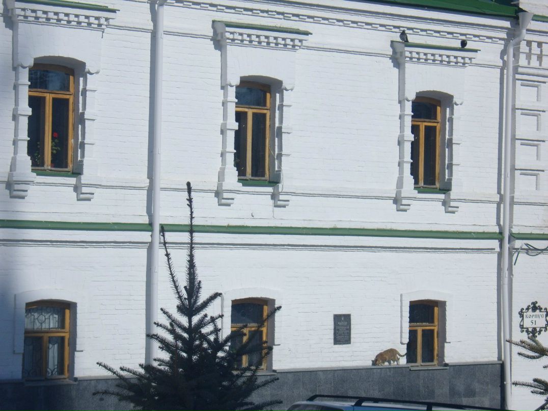 Ольга Растешкина | 