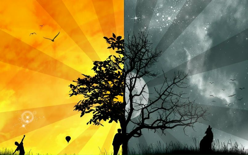 Таня Ждан | Тернополь