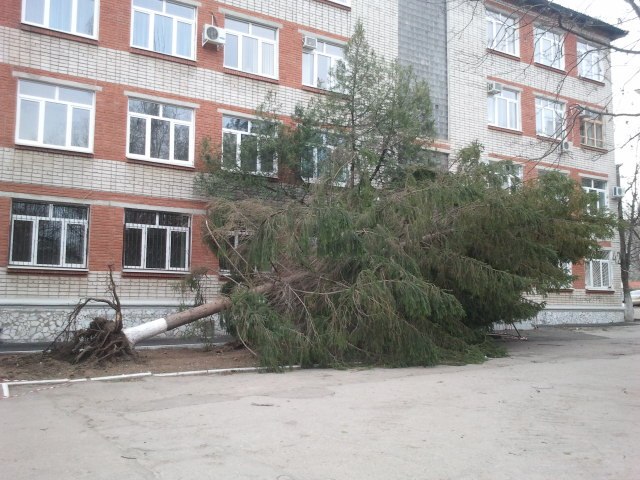 Люся Зеленская l.s.kind | Краснодар