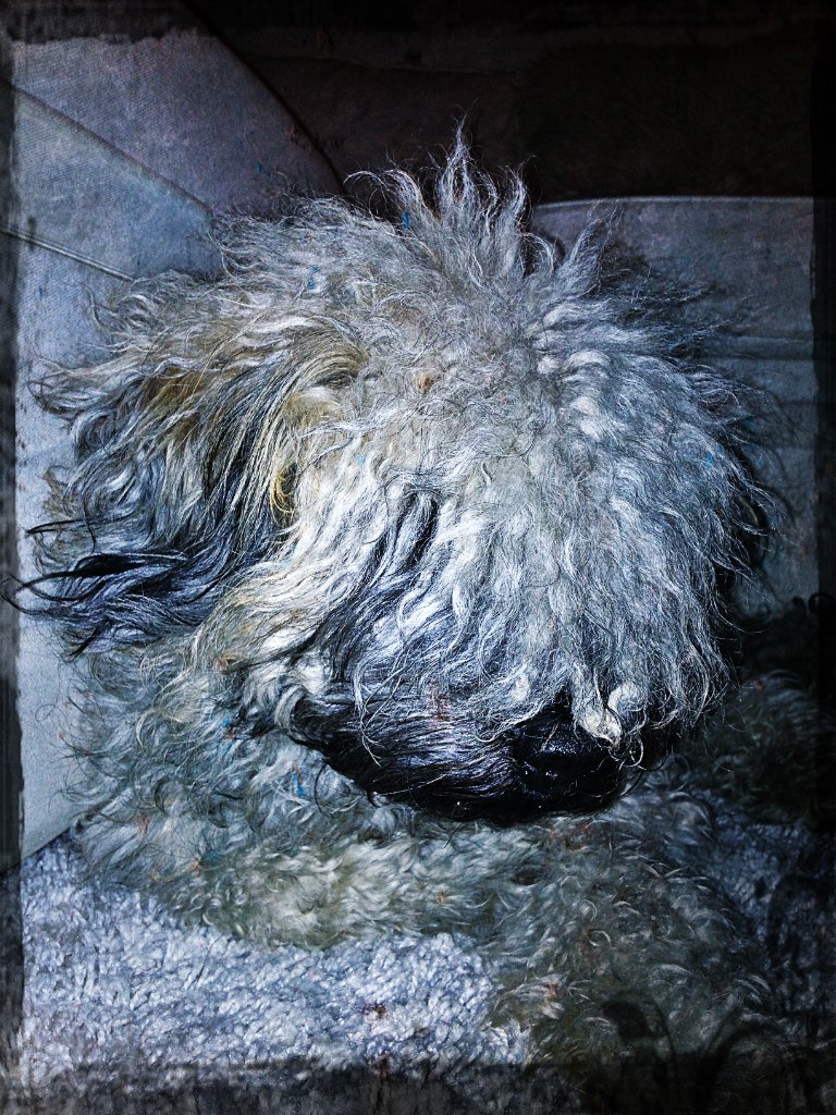 Fleuw Thelin Fleuw | Eskilstuna