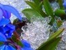 Виктория Миклашевская | Минск