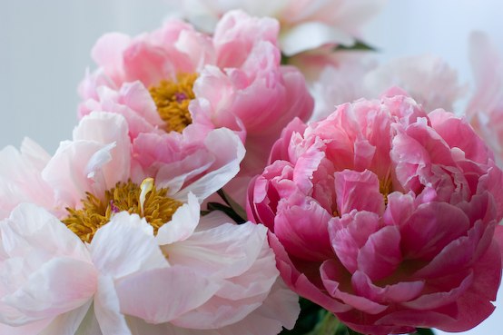 №15, Инга Серебрякова №15, Инга Серебрякова