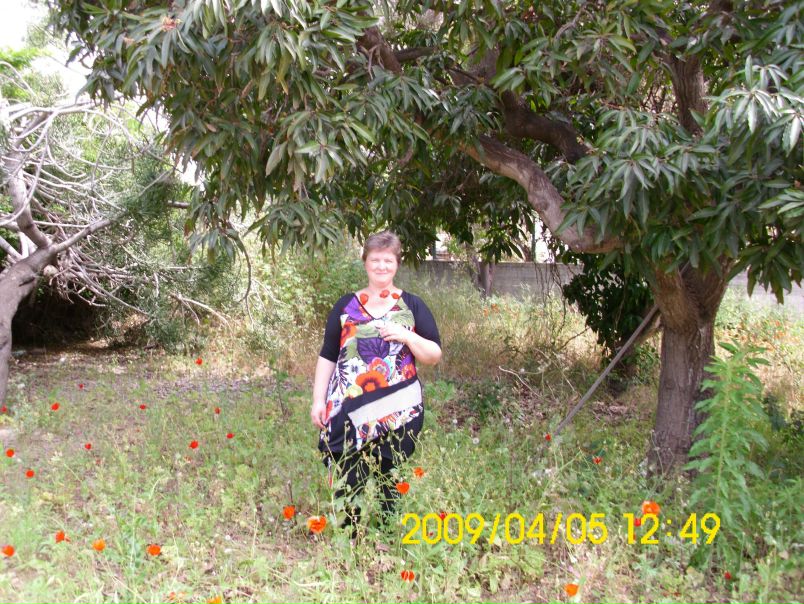 №20, Оксана Захарко, Нетания №20, Оксана Захарко, Нетания