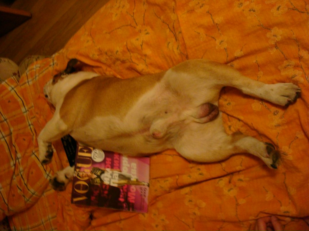 Тамара Лебедева | Санкт-Петербург