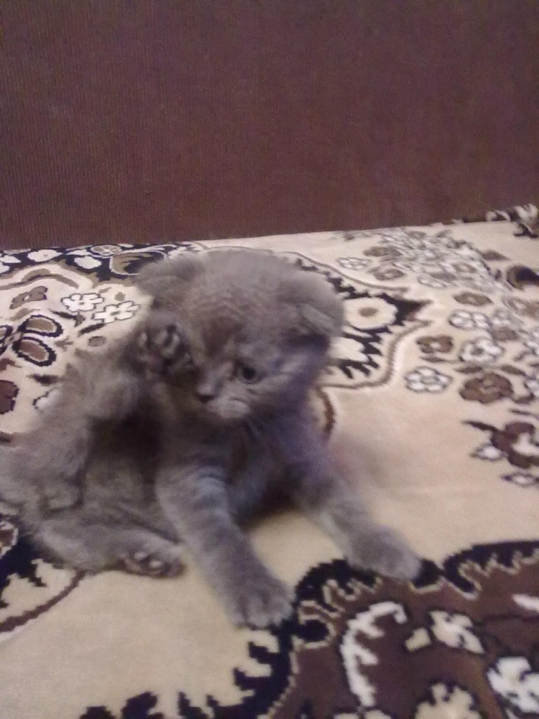 Владимир Хромых <<-Позитивчик->> | Химки