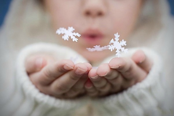 №117, Александра Зинчук, Москва №117, Александра Зинчук, Москва