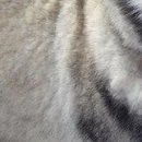 №84, Яна Коджакова, Горячий Ключ №84, Яна Коджакова, Горячий Ключ