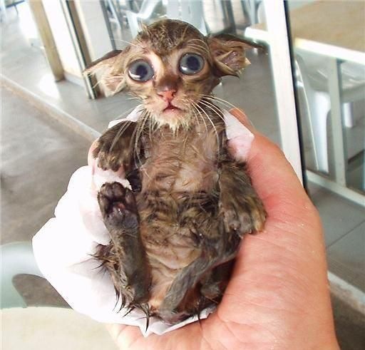 №34, Оля Петрова, Минск №34, Оля Петрова, Минск