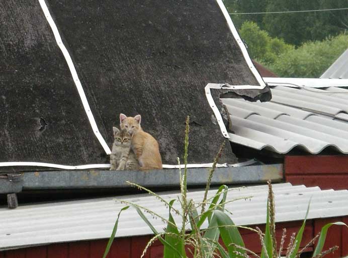 Валерий Филин | Подольск