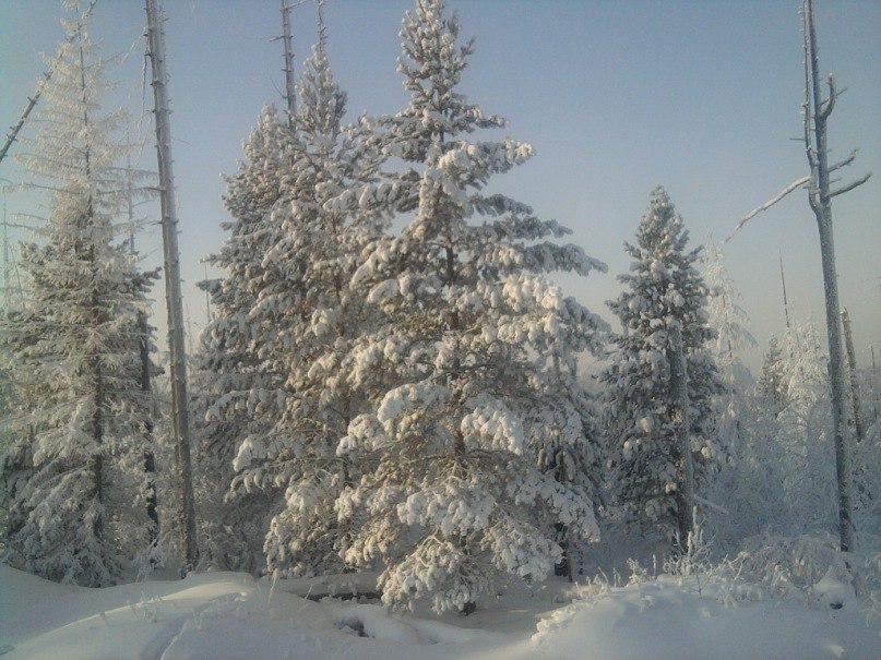 Сергей Якимович | Мариуполь