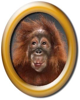 Олег Андреев | Луганск