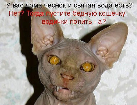 Вика Макарова | Днепр (Днепропетровск)