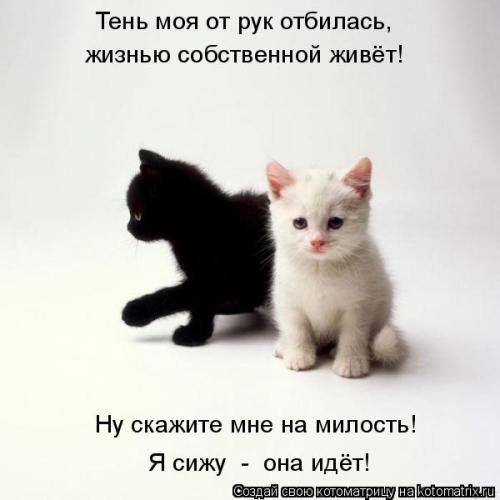 Надежда Левина NaVaOl-a | Санкт-Петербург