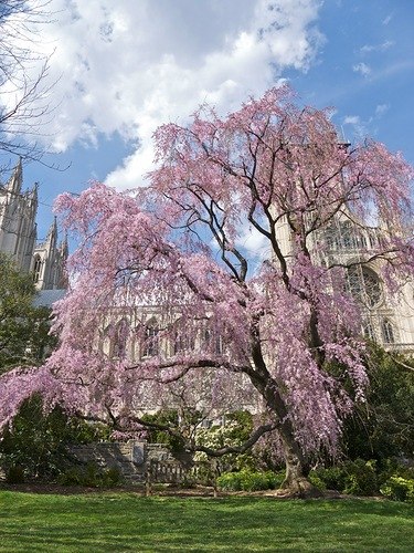 Валентина Струнова | Новосибирск