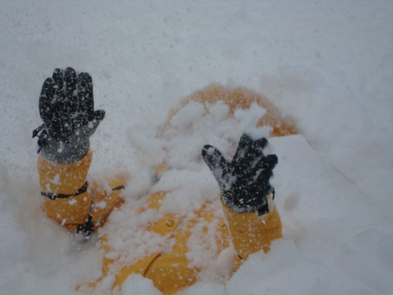 №50, Марина Костина №50, Марина Костина