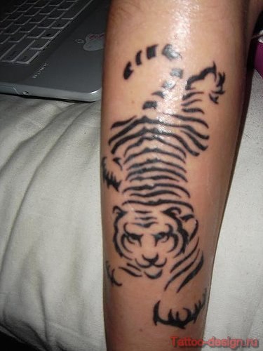 Володя Резник | Санкт-Петербург