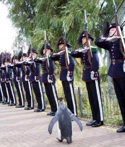 Алексей Назаров PingWin | Екатеринбург