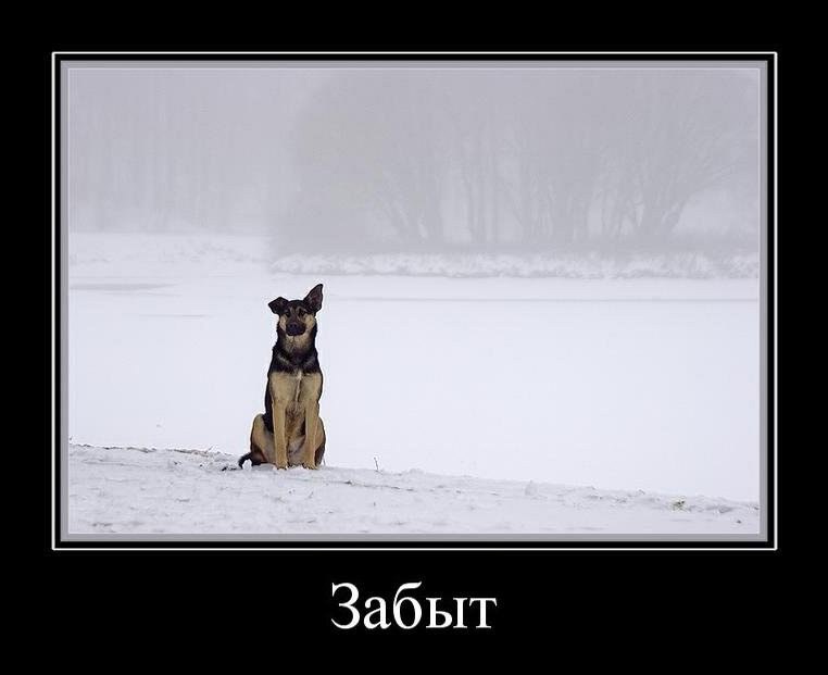 Макисм Поздеев -!Pepel!- | Екатеринбург