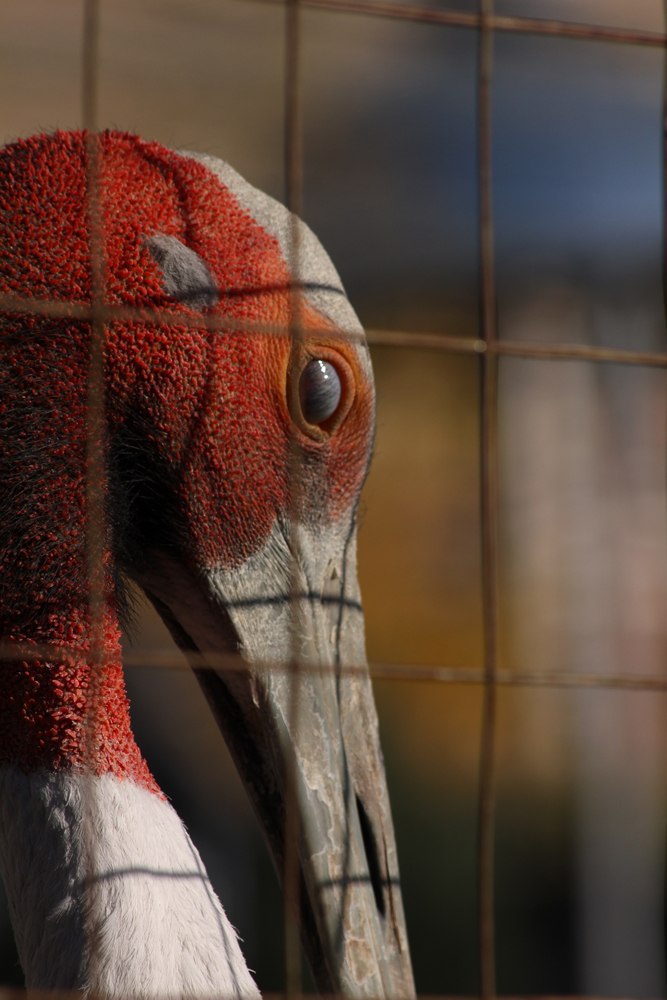 Анастасия Лаврова | Москва