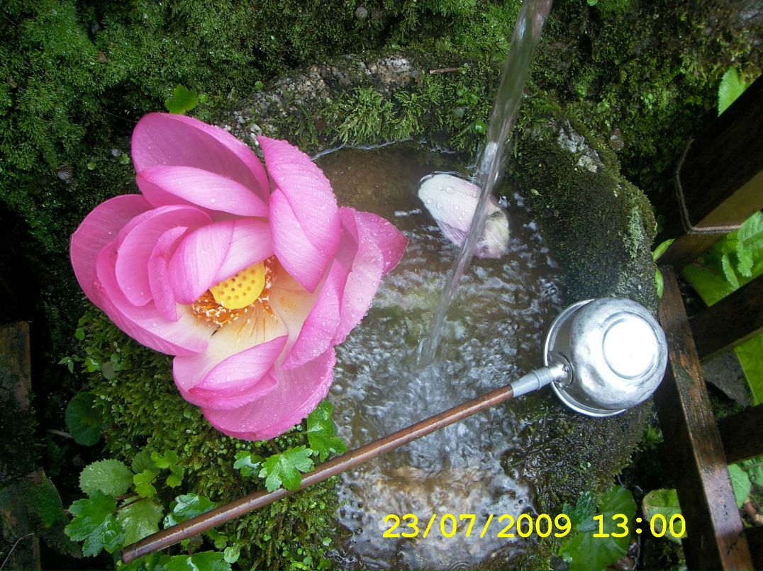 Эржэн Лыксыкова | Улан-Удэ