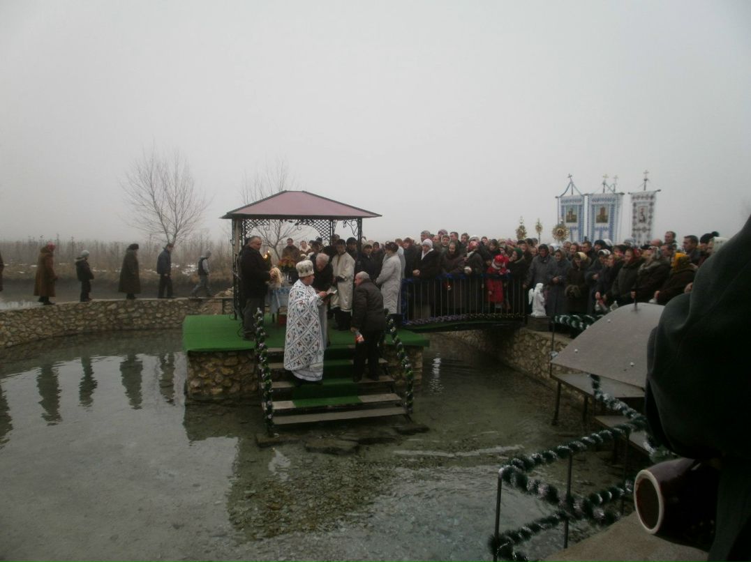 Уляна Королюк | Тернополь