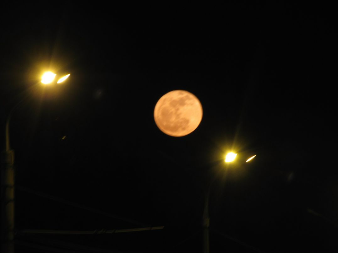 Маша Таран(Вернигор) | Кривой Рог