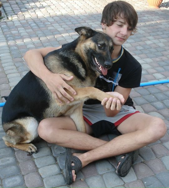 №90, Назар Микитин, Рогатин №90, Назар Микитин, Рогатин