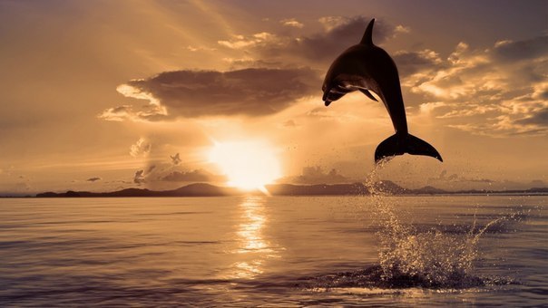 Влад Осаулов | 