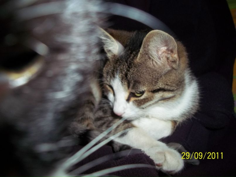 Юлия Денисенко | Никополь