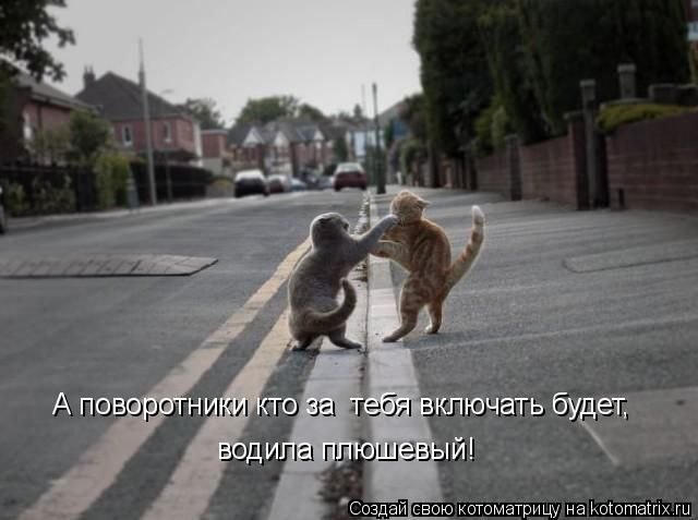 Константин Хапугин *228* | Нижний Новгород