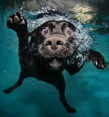 Людмила Христюк | Иркутск