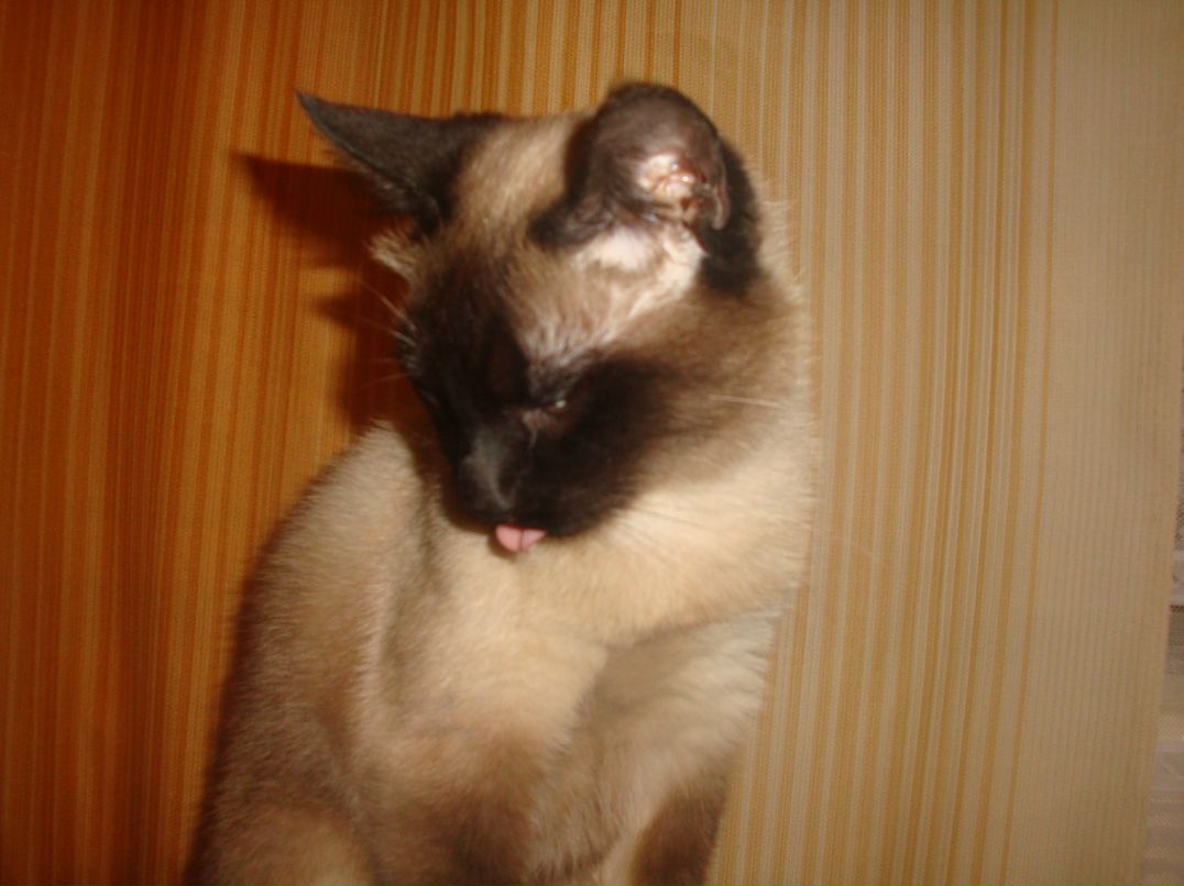 Наталья Грибалева | Санкт-Петербург