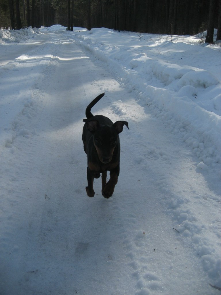 Анюта Андрусенко <<•.♥.•>> | Тверь