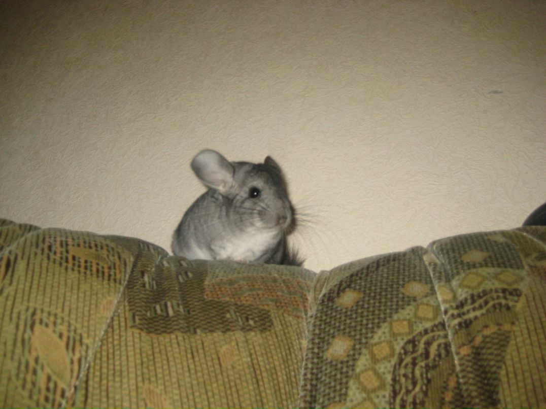 Ольга Быкова | Харьков