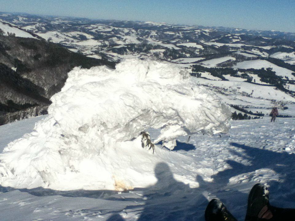 Peter Martynov | Львов