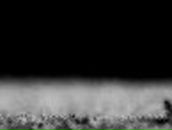 Марина Тарасова | Нижний Тагил