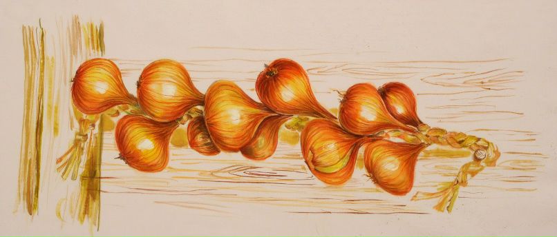 Люда Баннікова | Червоноград