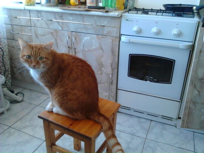 Надюха Ермакова | Санкт-Петербург