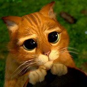 №3, Dmitriy Malaschko №3, Dmitriy Malaschko