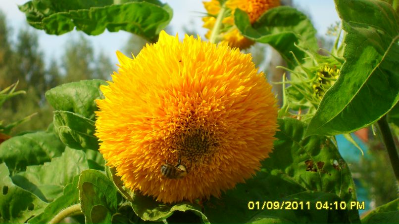 Наталья Рубанова | Ташкент