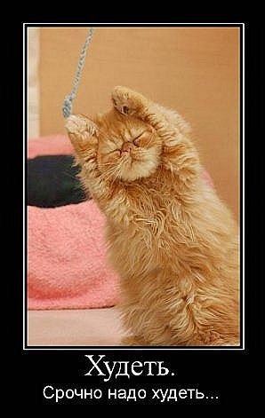 Юлия Осинькина | Москва