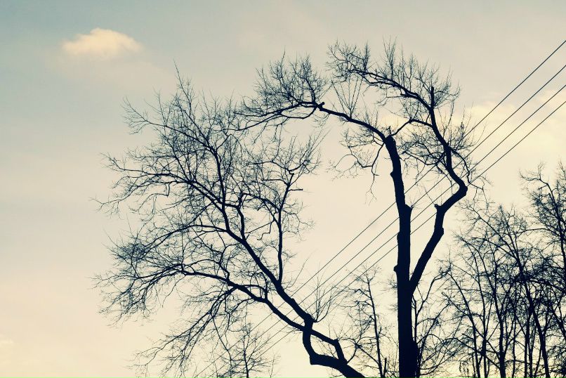 Лидия Поробанюк | Дубна