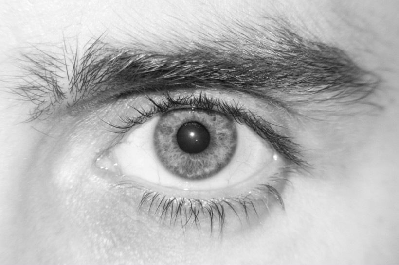 №115, Елена Афанасьева, Dubai №115, Елена Афанасьева, Dubai