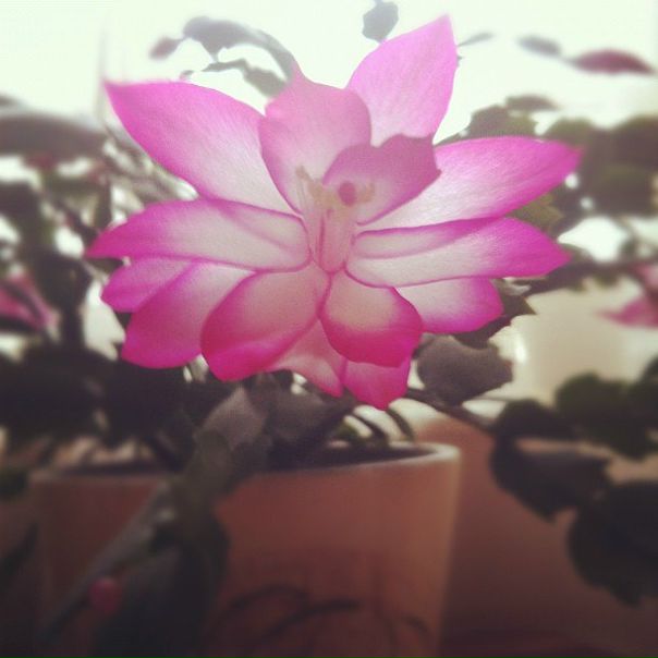 №11, Маша Пьянкова, Пермь, Россия №11, Маша Пьянкова, Пермь, Россия