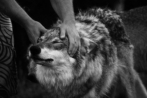 №53, Виктория Григорьева, 34 года, Москва №53, Виктория Григорьева, 34 года, Москва